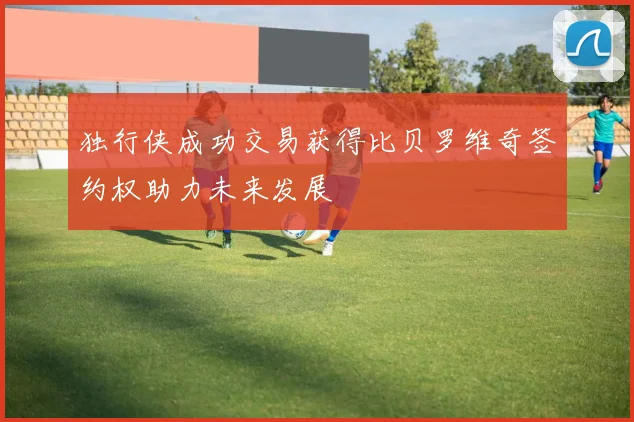 独行侠成功交易获得比贝罗维奇签约权助力未来发展